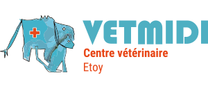 Logo Vetmidi
