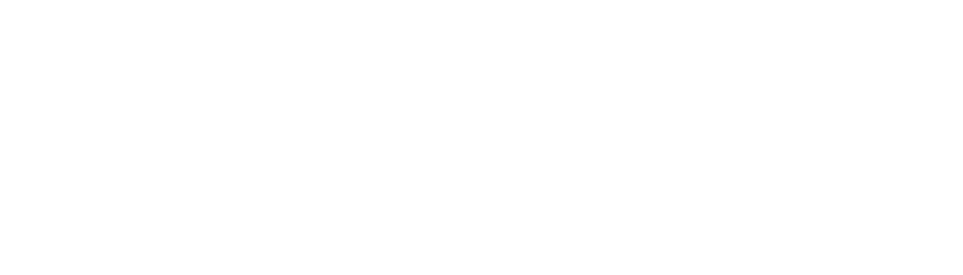 logo-vetmidi-blanc-horizontal