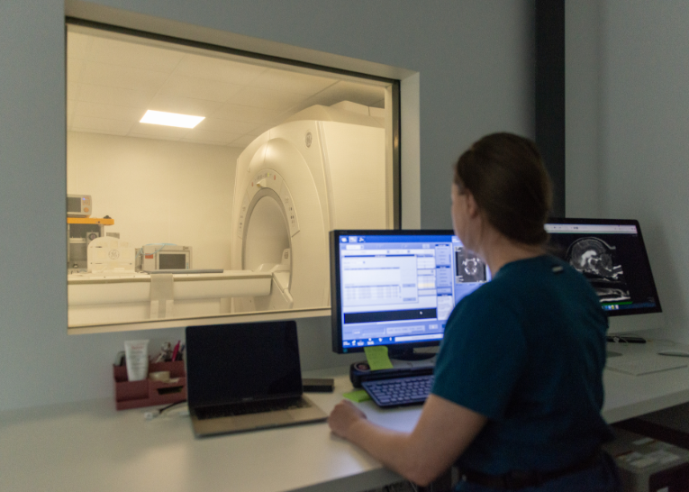 neurologie-vetmidi-veterinaire